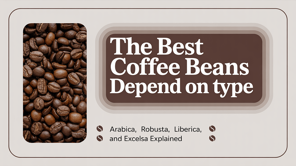 The Best Coffee Beans Depend on Type - Arabica, Robusta, Liberica, and Excelsa Explained